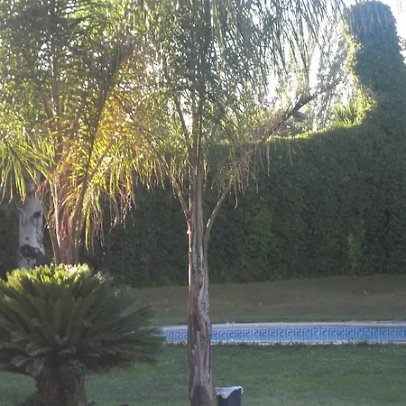 Don Gonzalo 3*