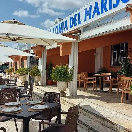 Don Gonzalo 3* Montilla