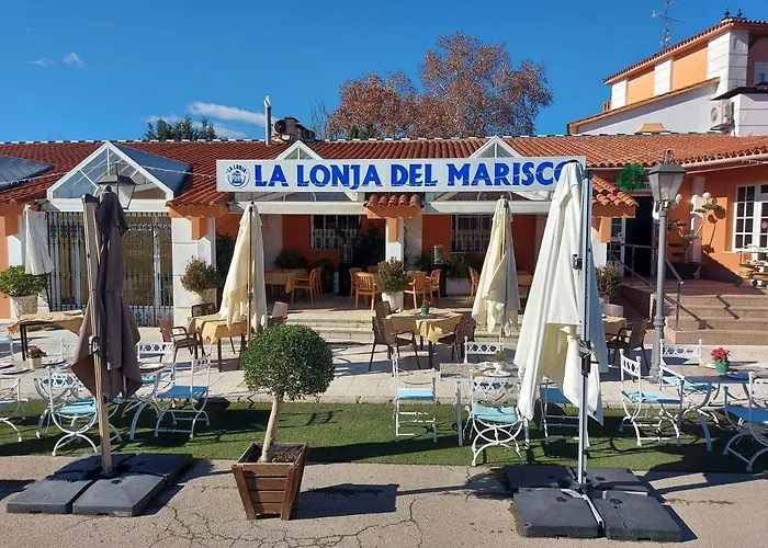 Don Gonzalo 3* Montilla