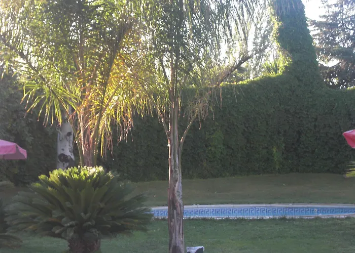 Don Gonzalo